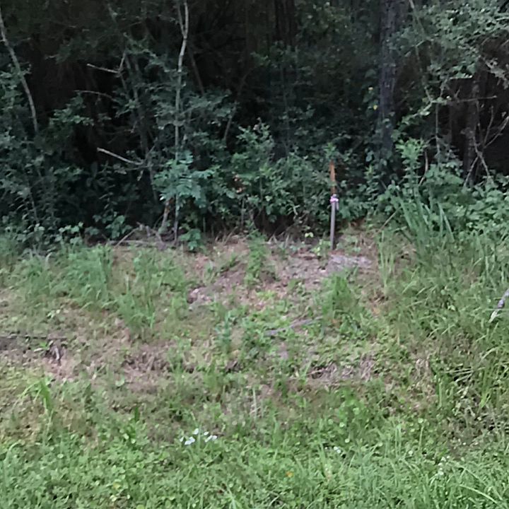 2nd image of Francis Dr