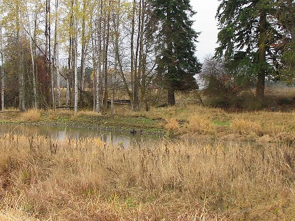 One third shared pond