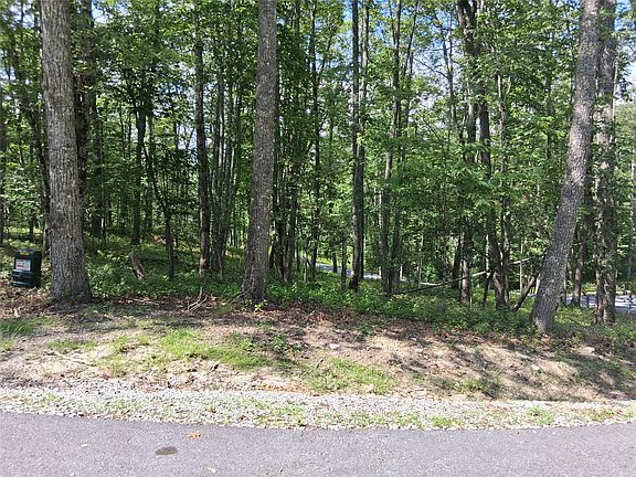 4th image of 5 Lone Panther Ridge
