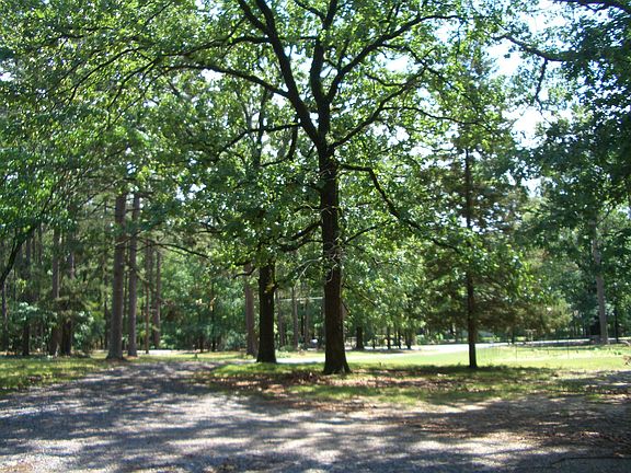 View of front yard