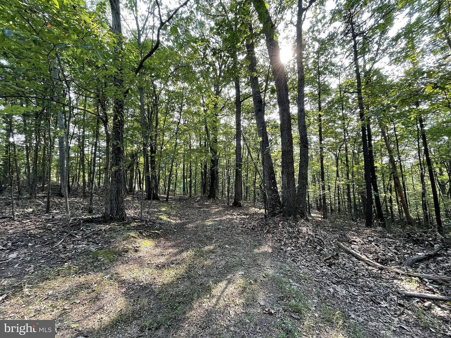 Birch Grove Ln photo 1