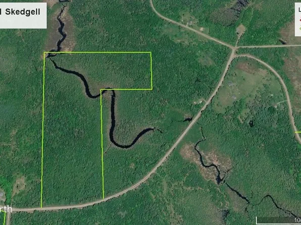 Map8Lot21 Skedgell Road, Cary Plt, ME 04471