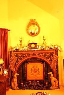 Den fireplace