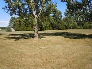 5th image of 2254 1400th St