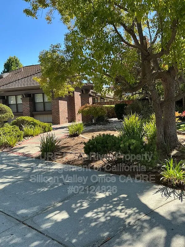 4 bed, 2.5 bath, 2539 sqft, $7,750 — Photo 3