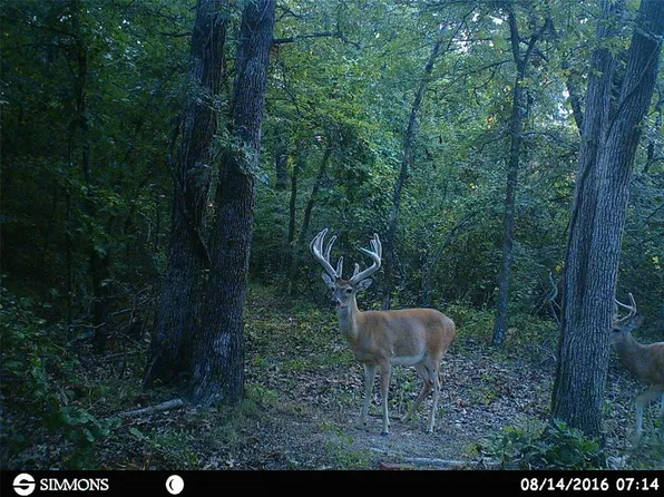 7562 E 120th Rd, Wetumka, OK 74883