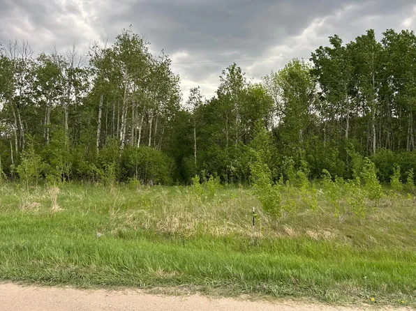 160th St NE, Thief River Falls, MN 56701
