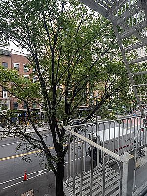 3rd image of 204 W 14th St APT 3H
