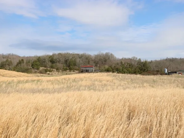 6595 Hammonsville Rd, Bonnieville, KY 42713
