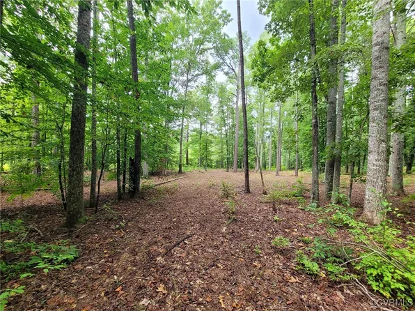 LOT 3 Narrow Path Way Lot 3, Bowling Green, VA 22427