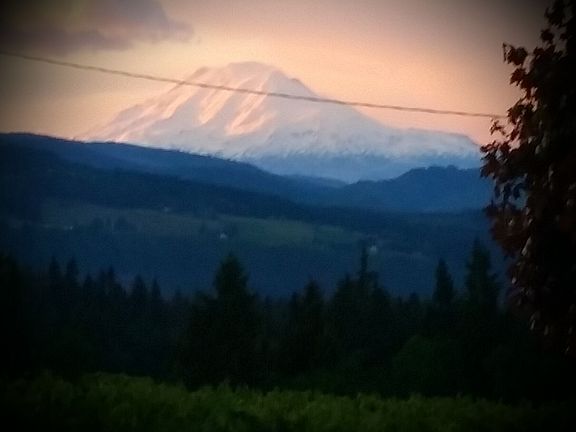 Mt Adams from the deck 
