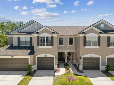 6910 Rock Springs Way, Tampa, FL, 33625