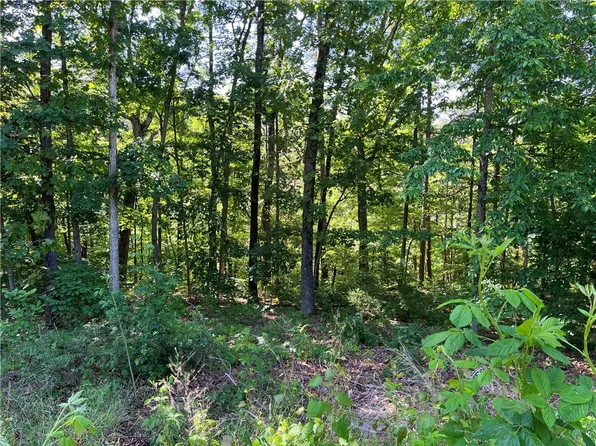 14 Saint Austell Cir, Bella Vista, AR 72714