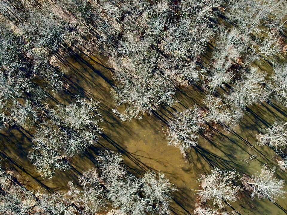 12 Highway, Tchula, MS 39169 MLS 4070227 Zillow