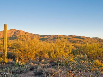0 E Silverian Rd, Marana, AZ, 85658
