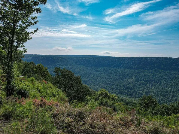 0 Crockett Loop #162, Jasper, TN 37347