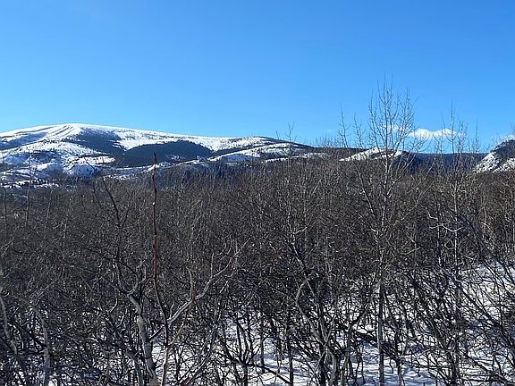 4th image of 26 Bear Paw Trl