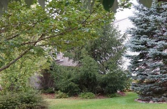 2nd image of 322 White Oak St