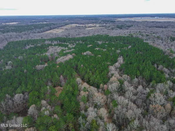 Saint Thomas Rd, Bolton, MS 39041