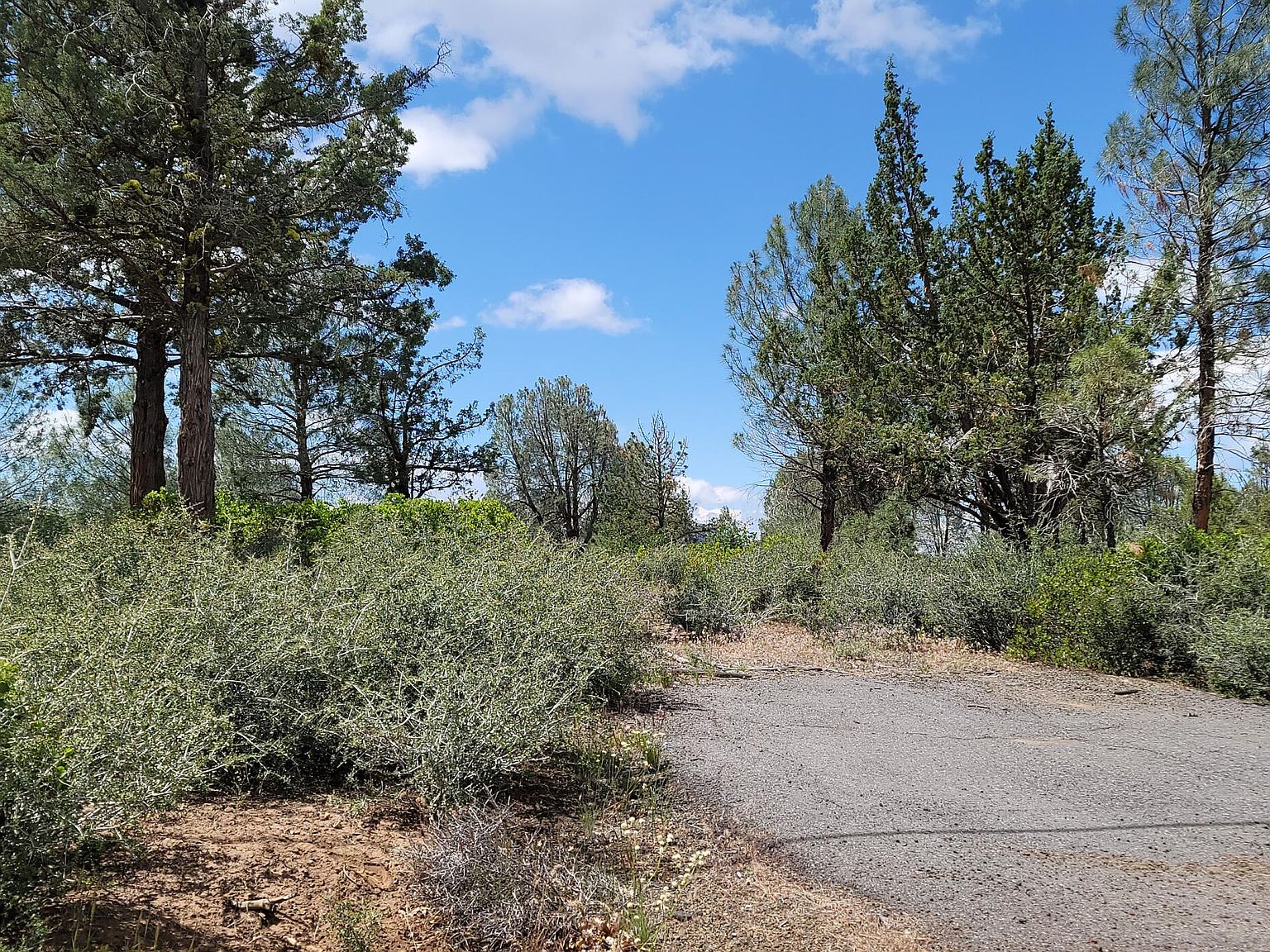 LOT 11 Cassel Fall River Rd, Fall River Mills, CA 96028 MLS 223094