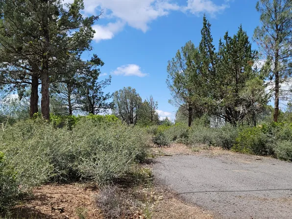 LOT 11 Cassel Fall River Rd, Fall River Mills, CA 96028