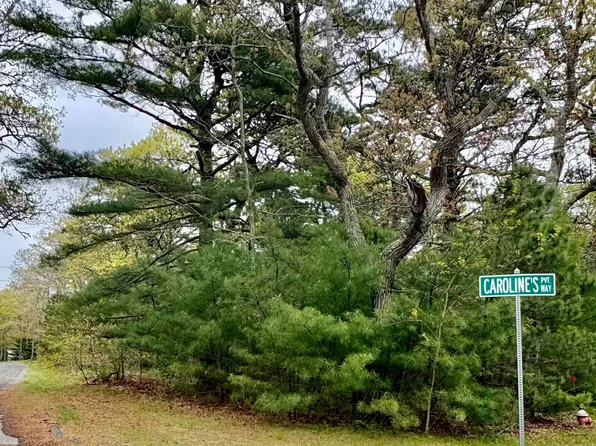 2 Carolines Way, Orleans, MA 02653