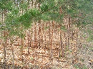 LOT 36 Panther Falls Rd, Wilder, TN 38589