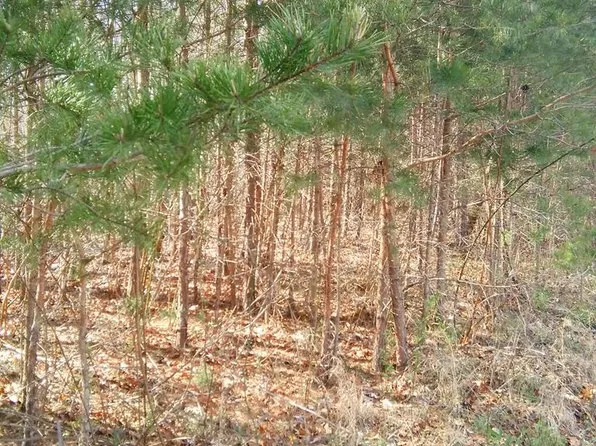 LOT 36 Panther Falls Rd, Wilder, TN 38589