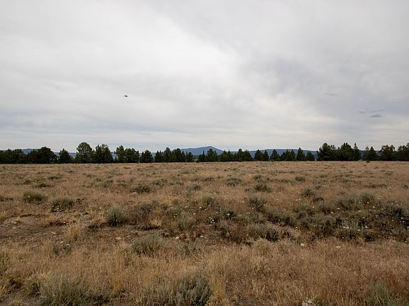 4th image of Rim Dr #24