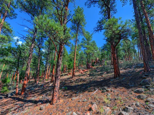 1357 Hi Meadow Dr, Bailey, CO 80421