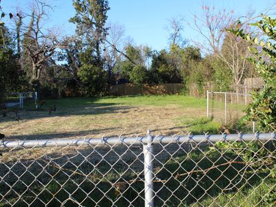 913 Wrightsboro Road, Augusta, GA, 30901