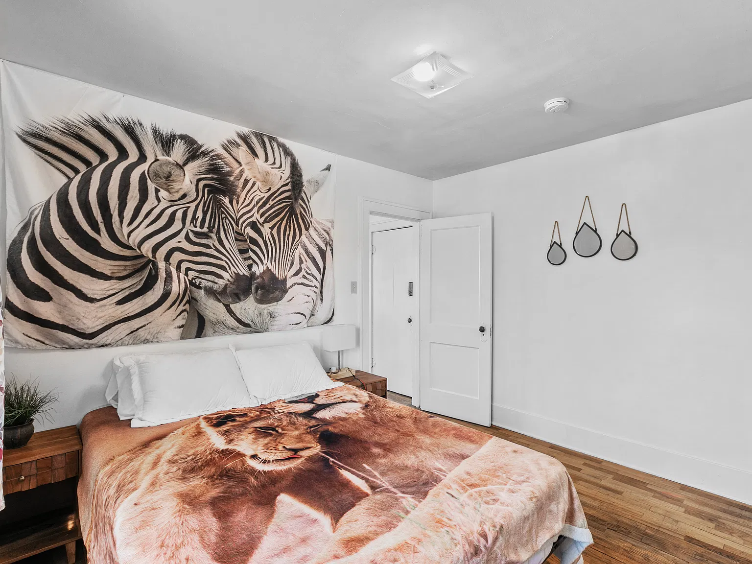 1 bed, 449 sqft, $815 — Photo 3