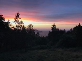 35303 Washburn Heights Dr, Brownsville, OR 97327