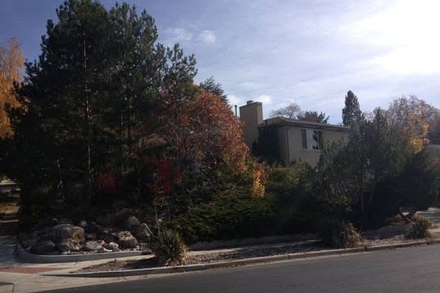 The home (corner lot)