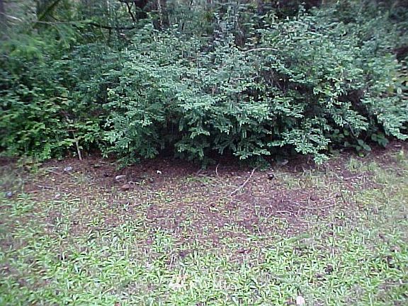 2nd image of 11119 Lake Josephine Boulevard