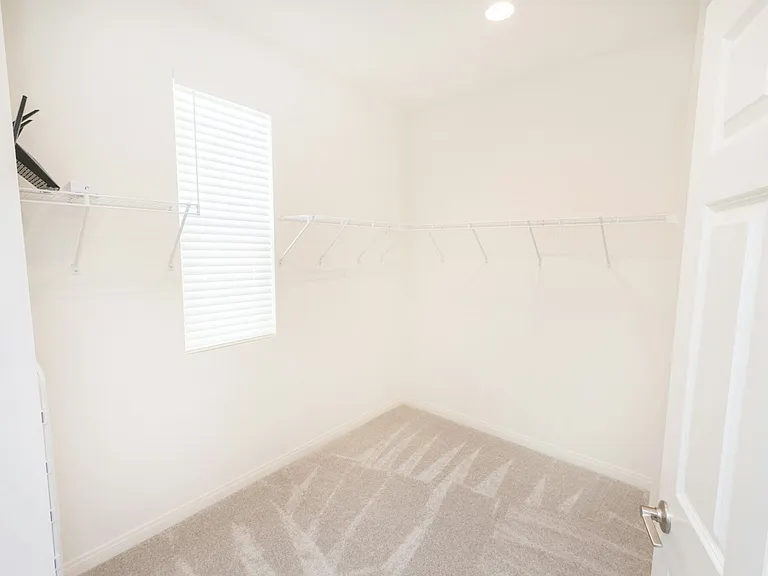 2615 Babaco St — Photo 18