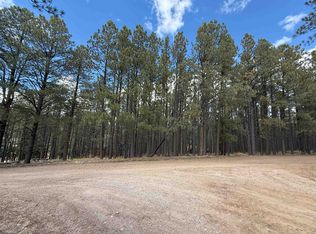 7 Pine Valley Dr, Angel Fire, NM 87710