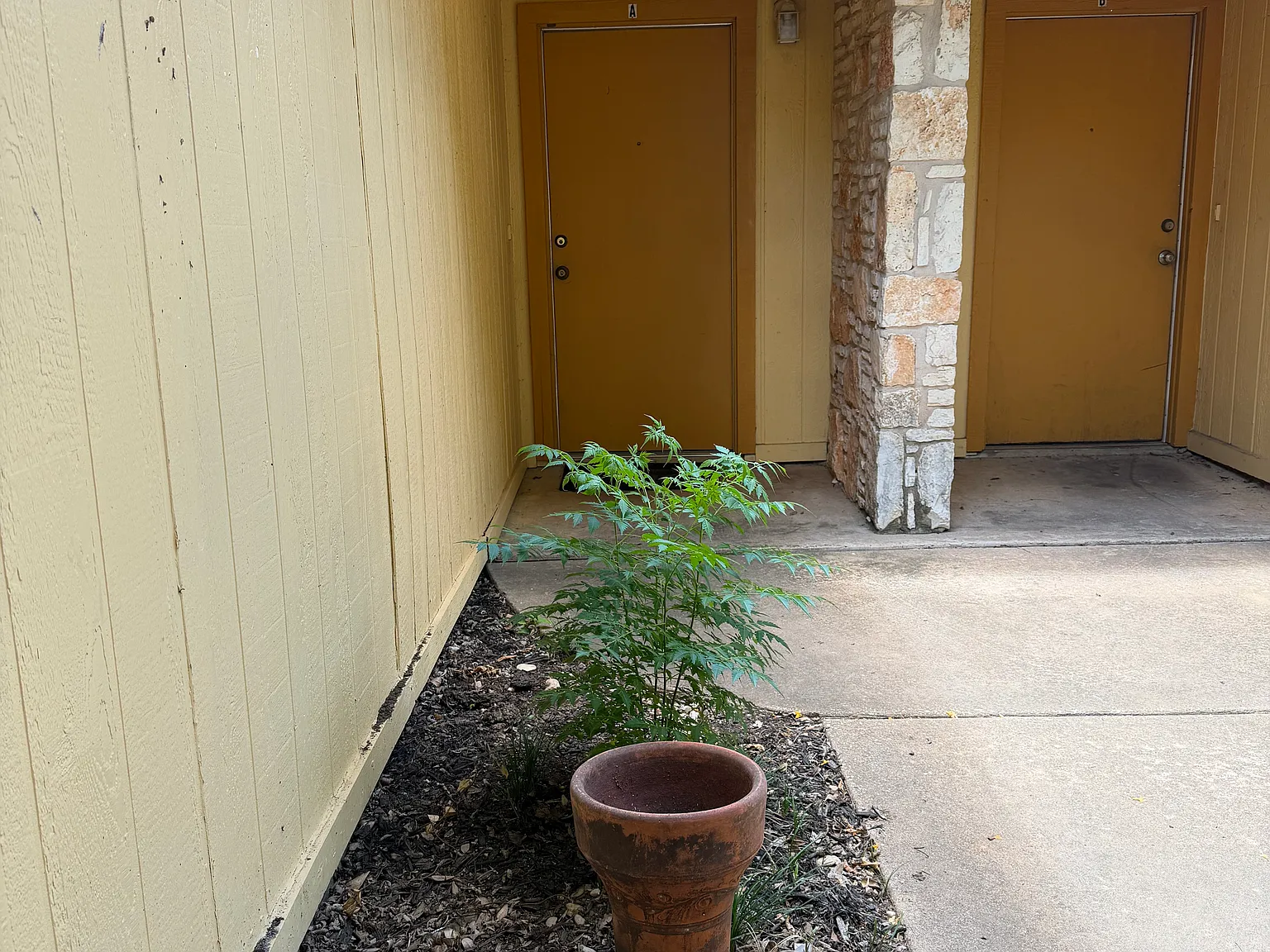 2 bed, 950 sqft, $1,400 — Photo 2