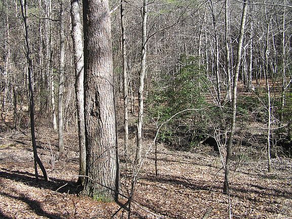 3rd image of 151 Indian Trails Dr #57