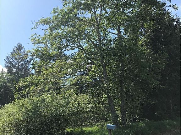 3rd image of 240 th and Isle