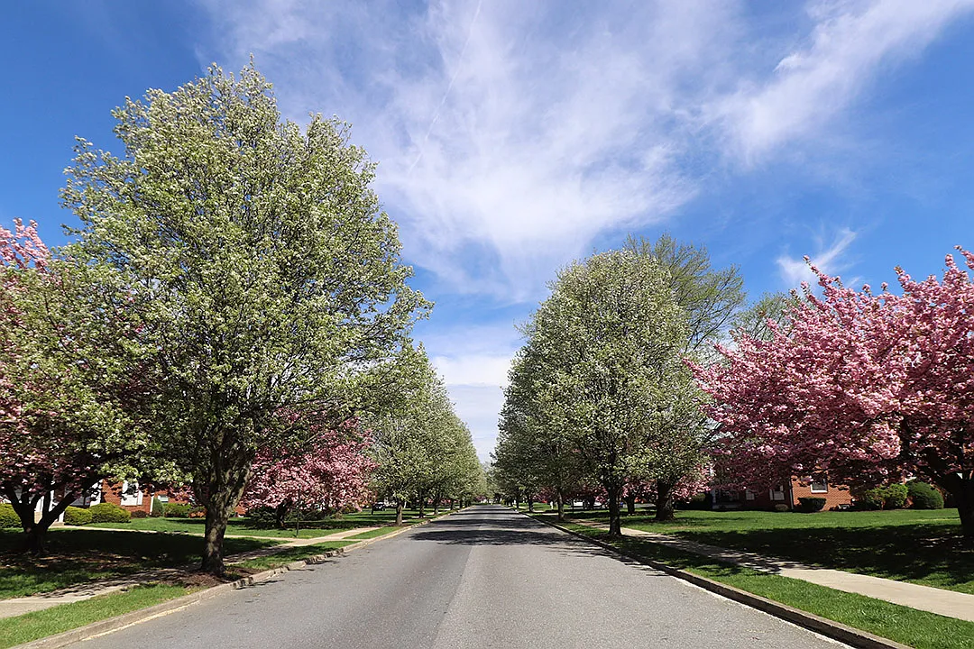 Highland Park — Photo 1
