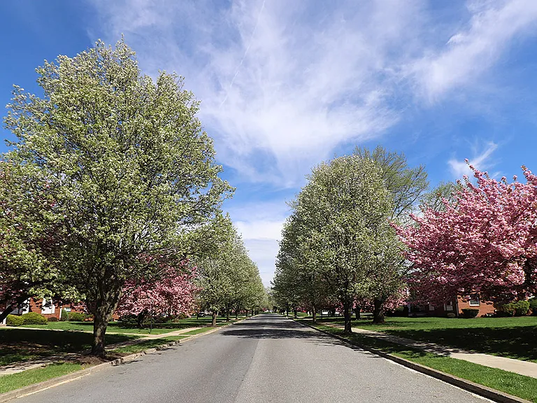 Highland Park — Photo 1