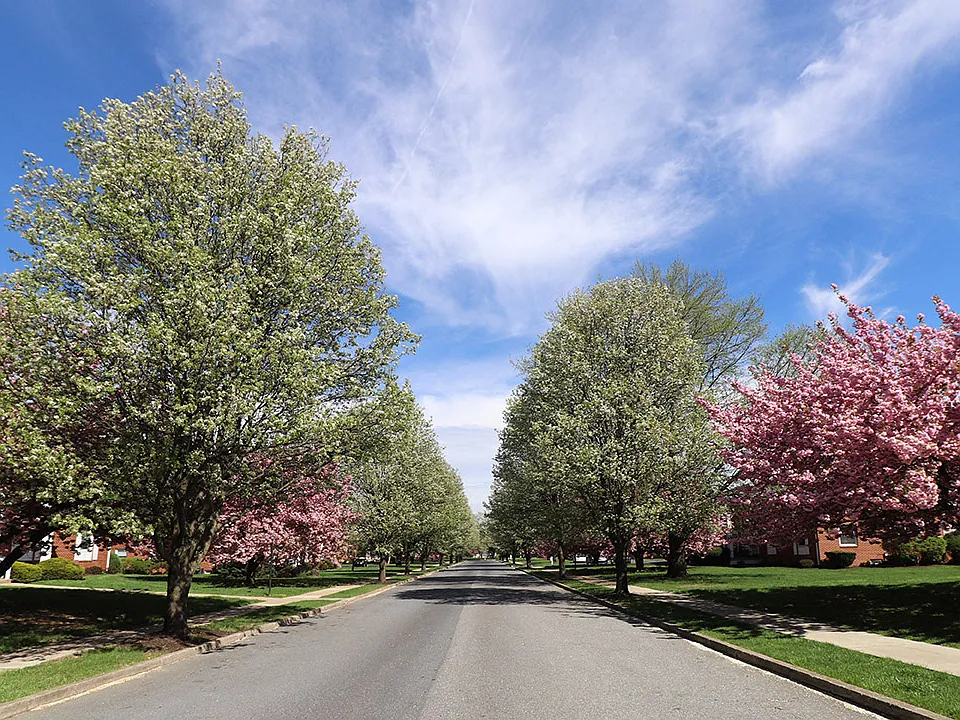 Highland Park