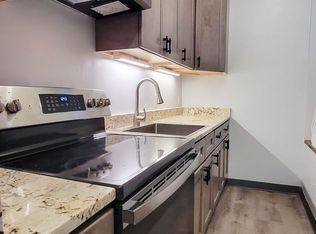 Modern Elliot Park Living - 1st Month FREE + $500 Off Deposit!, Minneapolis, MN 55404