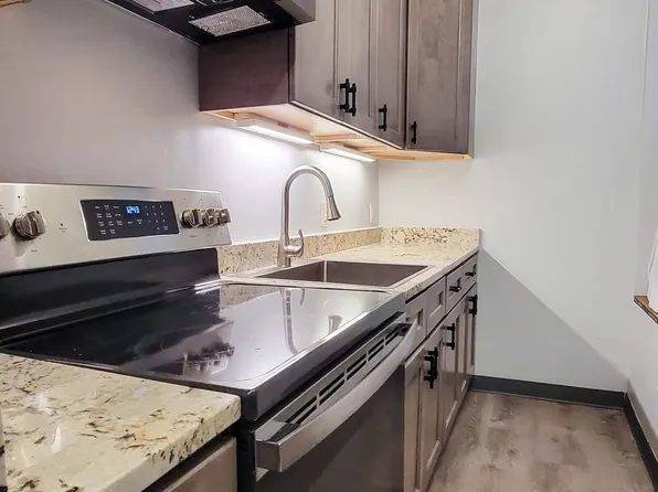 Modern Elliot Park Living - 1st Month FREE + $500 Off Deposit!, 826 10th St S #81611, Minneapolis, MN 55404