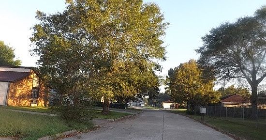 3rd image of 2550 Ember Ln