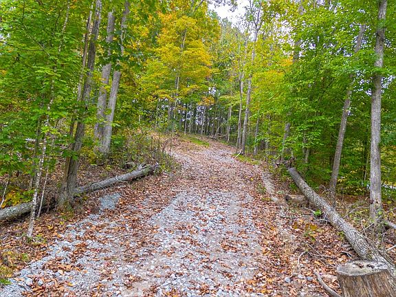 3rd image of 0 Ross Hollow Rd
