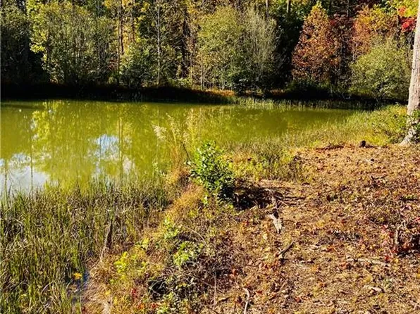 3 Long Mountain Trl Lot 3, Cleveland, GA 30528