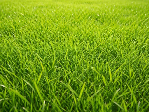 712 S Nebraska St, Marion, IN 46953