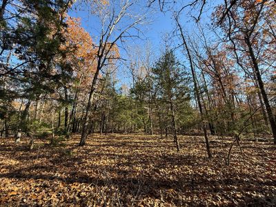 000 Forest Street, Theodosia, MO, 65761